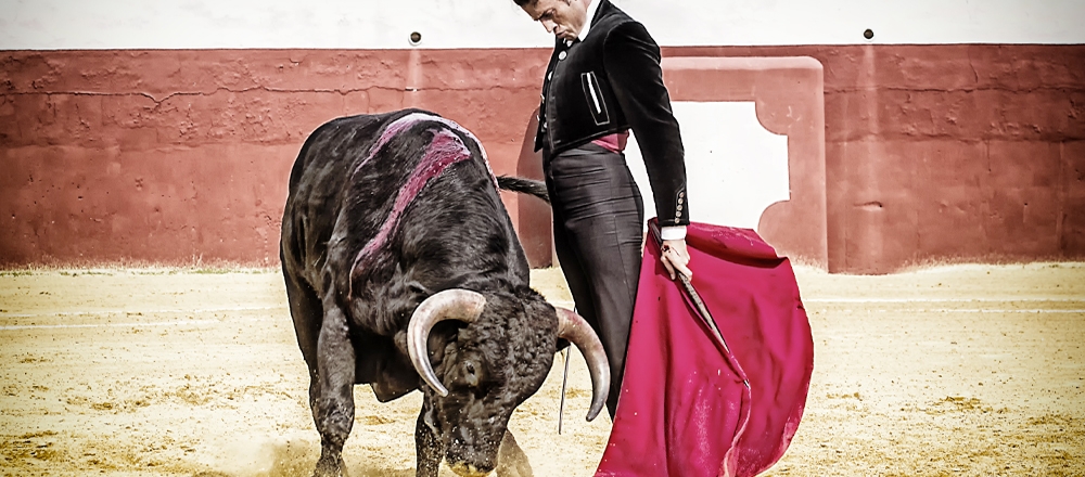 ACHO 2019 | NOVILLADA - Teleticket ACHO 2019 | NOVILLADA - Teleticket - Club De Suscriptores El Comercio Perú.