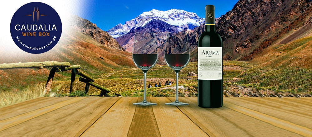 CAUDALIA WINE BOX | PACK DE VINO Y COPAS - CAUDALIA WINE BOX CAUDALIA WINE BOX | PACK DE VINO Y COPAS - CAUDALIA WINE BOX - Club De Suscriptores El Comercio Perú.
