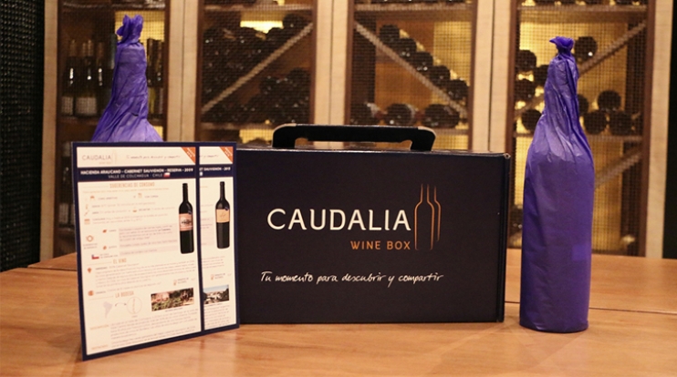 CAUDALIA WINE BOX | SUSCRIPCIÓN 1 MES - CAUDALIA WINE BOX CAUDALIA WINE BOX | SUSCRIPCIÓN 1 MES - CAUDALIA WINE BOX