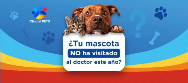 Clinical Pets | Consulta Médica