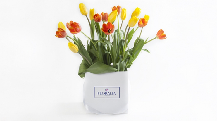 FLORALIA - FLORALIA FLORALIA - FLORALIA
