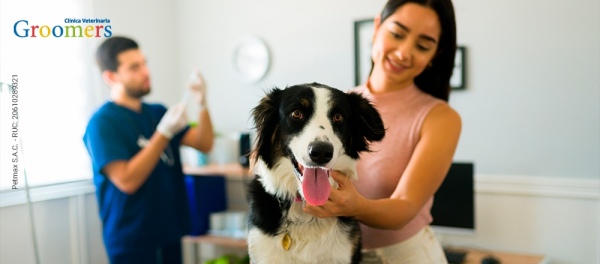 Groomers | Atención Medica