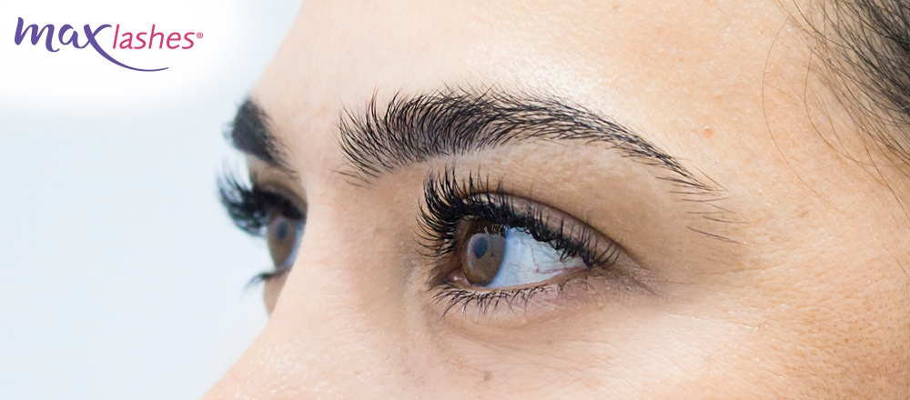 MAX LASHES - Maxlashes MAX LASHES - Maxlashes - Club De Suscriptores El Comercio Perú.
