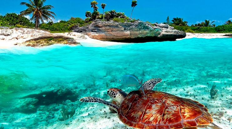 NM VIAJES | MEXICO - PLAYA DEL CARMEN - NUEVO MUNDO VIAJES NM VIAJES | MEXICO - PLAYA DEL CARMEN - NUEVO MUNDO VIAJES