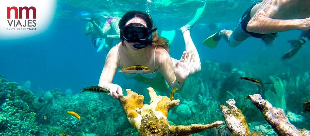 NM VIAJES | PUNTA CANA - NUEVO MUNDO VIAJES NM VIAJES | PUNTA CANA - NUEVO MUNDO VIAJES - Club De Suscriptores El Comercio Perú.