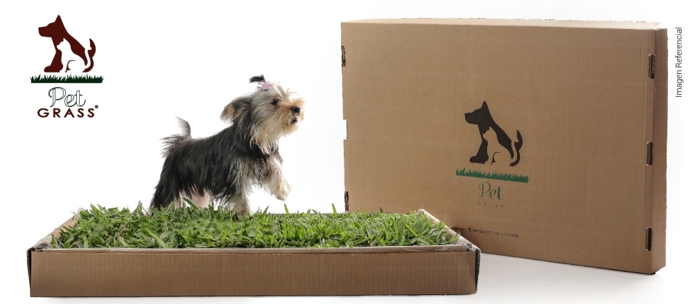 PET GRASS - PET GRASS PET GRASS - PET GRASS - Club De Suscriptores El Comercio Perú.