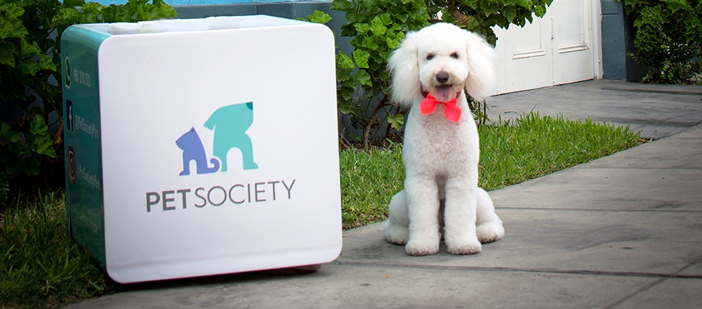 PET SOCIETY - PET SOCIETY PET SOCIETY - PET SOCIETY - Club De Suscriptores El Comercio Perú.