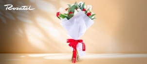 Rosatel-Hogar-Club El Comercio Perú.