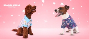 Zsa Zsa World -Moda y Accesorios-Mascotas